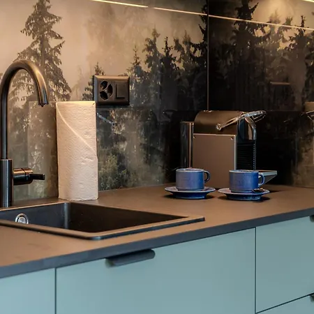 2 Design-studios Im Zentrum By Vacations 阿罗萨